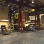 ANCHOR PLANT PICTURES – MARCH 2008 042